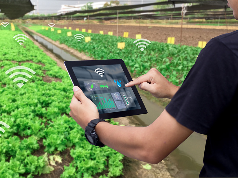 台灣之星布局智慧農業 攜手合作夥伴推廣5G智慧化友善耕養